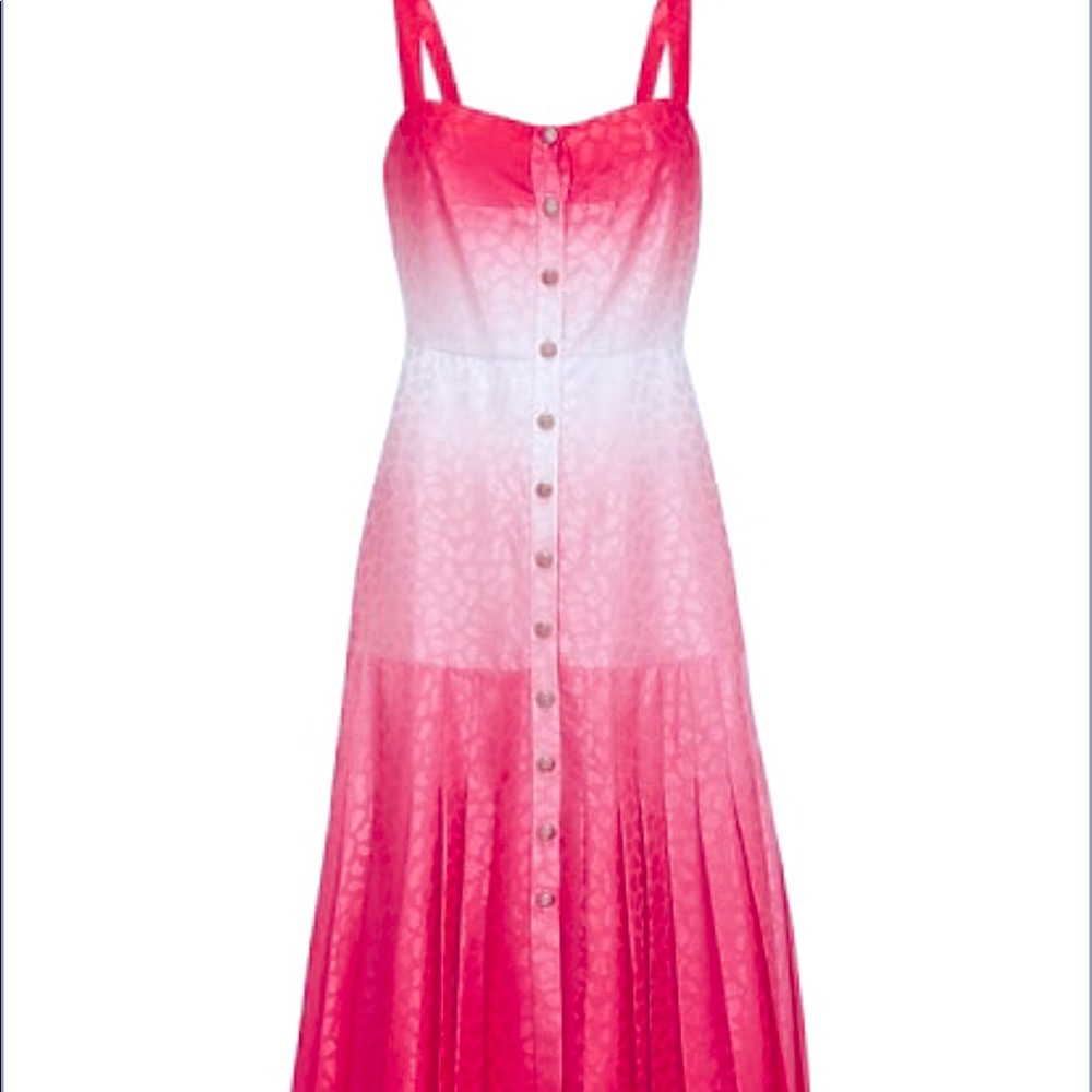 Solani ombre dress